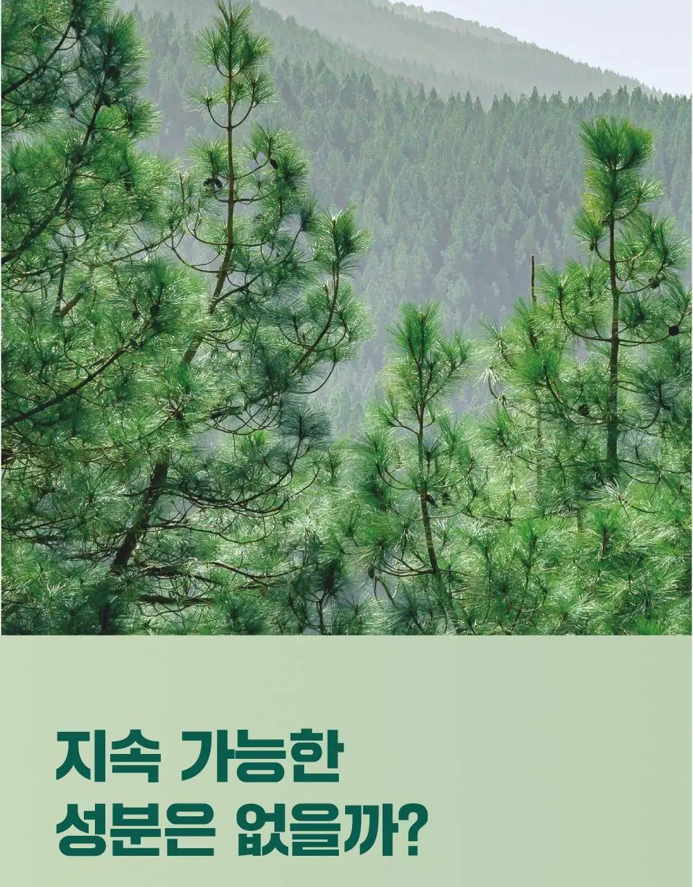 [매끈바디] 라운드랩 소나무 진정 시카 바디 워시 400ml 상세페이지 6